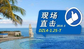 現(xiàn)場直擊丨看生物質(zhì)鍋爐在巴厘島如何強(qiáng)操作，回頭客非它不選