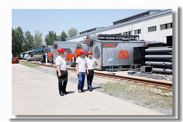 杭州建德六噸燃?xì)忮仩t價格是多少錢？